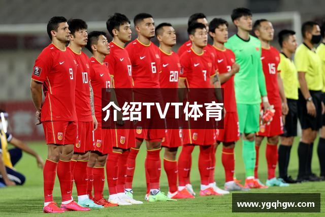 介绍TVT体育